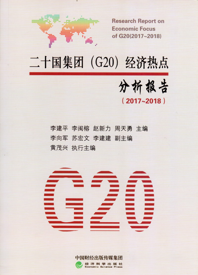 有操B视频吗二十国集团（G20）经济热点分析报告（2017-2018）