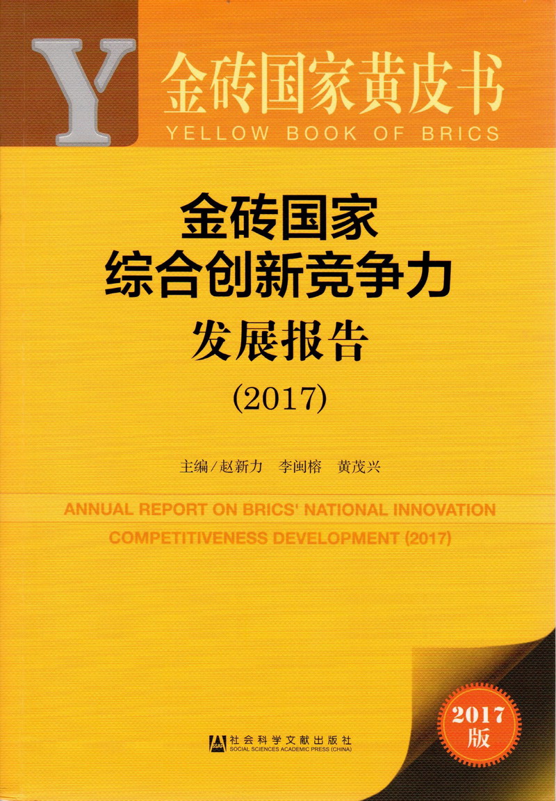 大鸡在操骚逼视频金砖国家综合创新竞争力发展报告（2017）